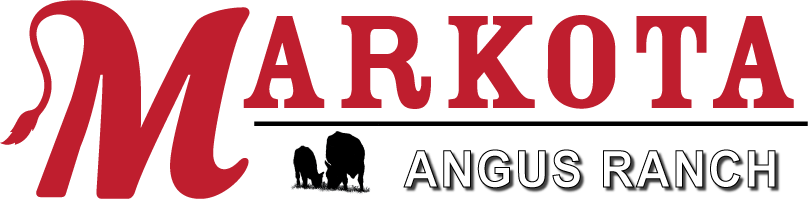 Markota Angus Ranch